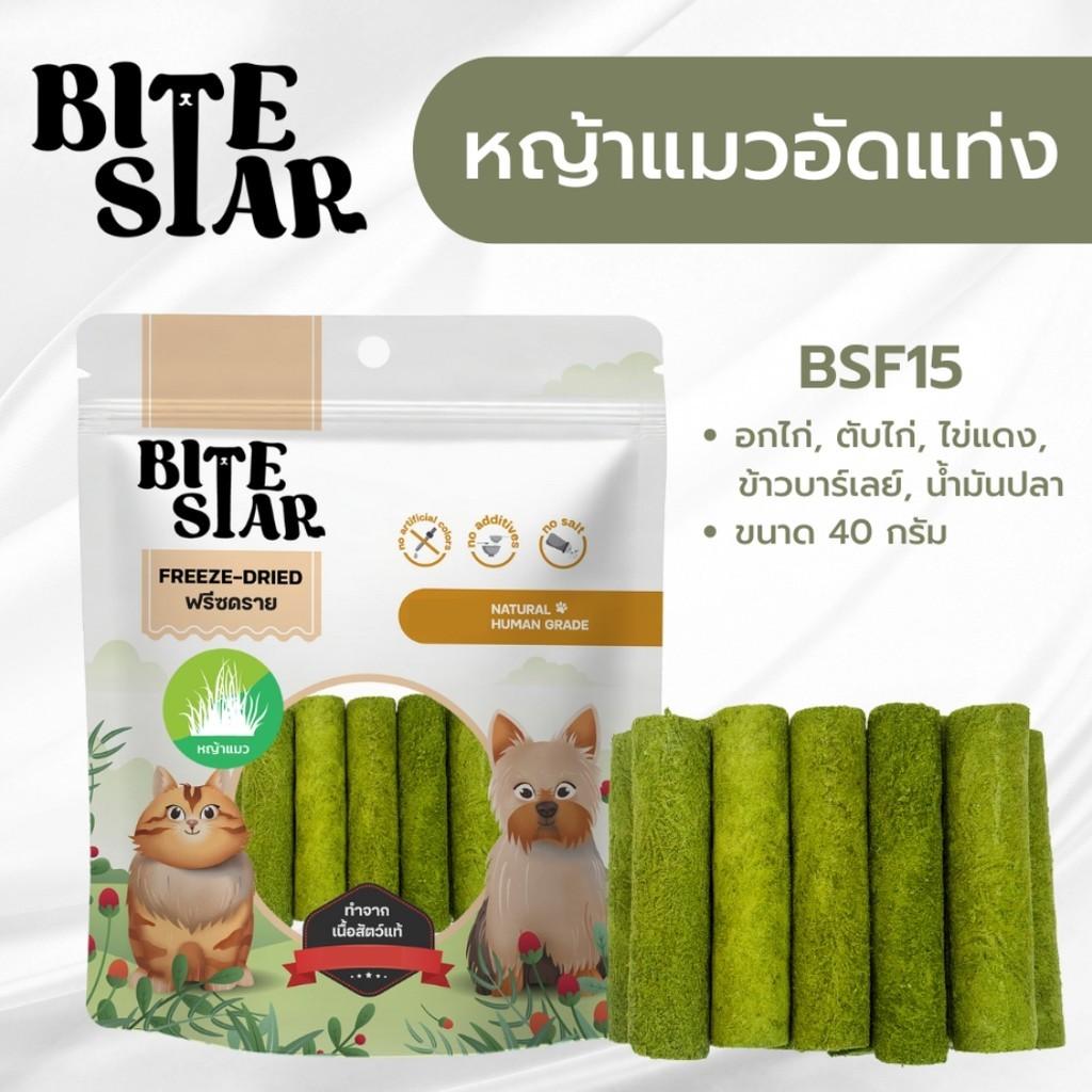 Bite Star Freeze Dried ขนมฟรีซดรายสำหรับสัตว์เลี้ยง ฟรีสดรายแมว ฟรีสดรายสุนัข ขนาดซอง 40-60 กรัม