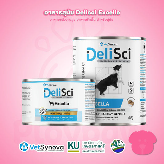 DeliSci Excella อาหารฟื้นฟูสําหรับสัตว์ป่วย ขาดสารอาหาร และพักฟื้นหลังการผ่าตัด ที่ต้องการพลังงานสูง (RECOVERY)