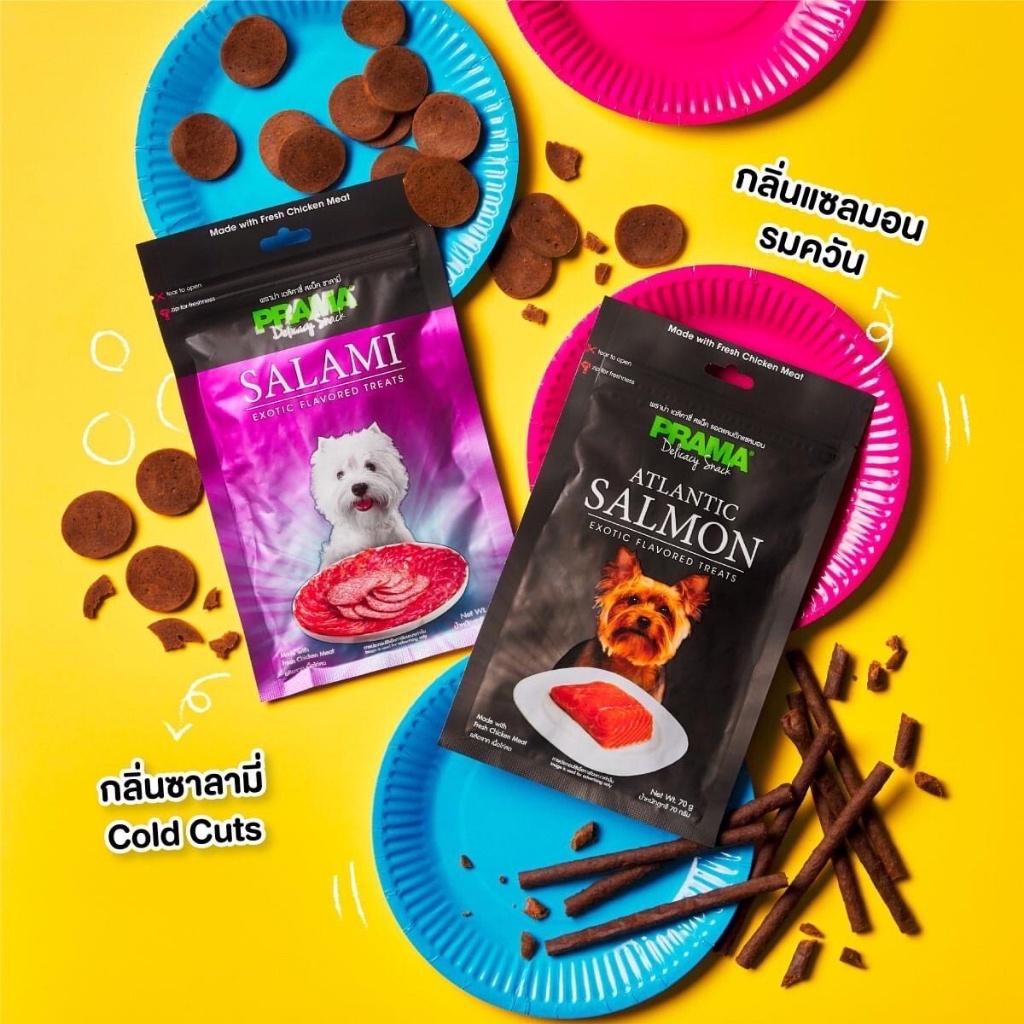 Prama พราม่า ขนมสุนัข Dog Snack ผลิตจากเนื้อไก่แท้ 50 - 70 กรัม