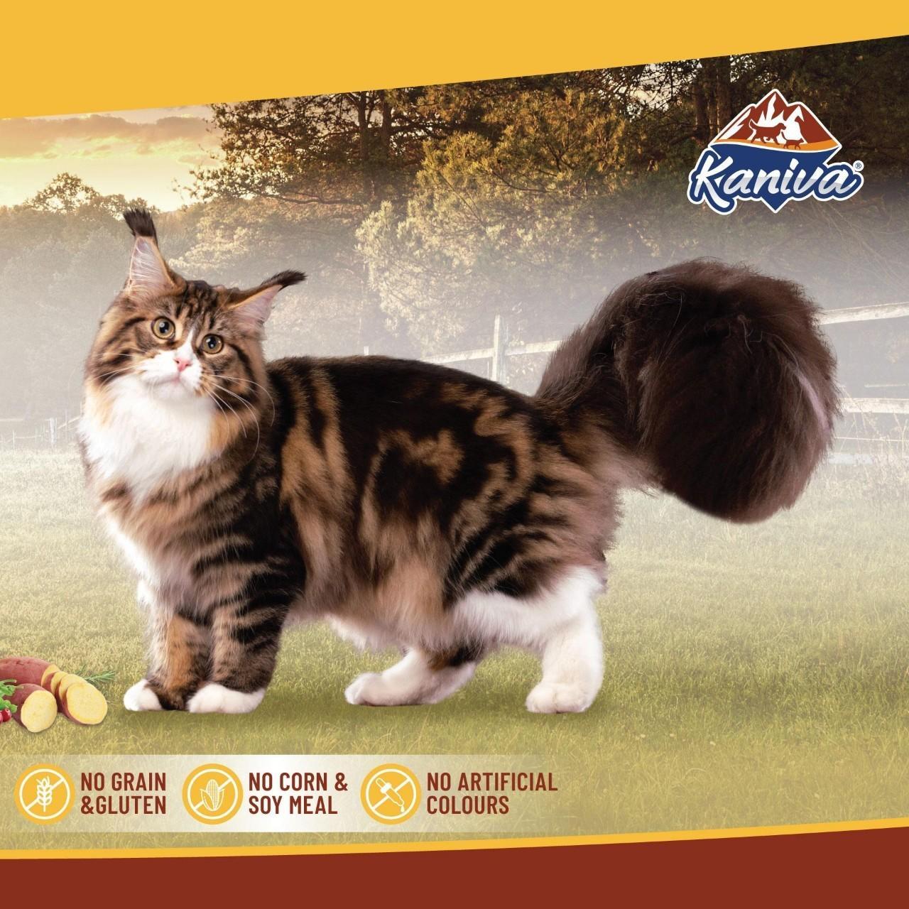 Kaniva Grain Free อาหารแมวคานิว่า สูตรเกรนฟรี โฮลิสติก Holistic&Balance ไม่มีส่วนผสม สำหรับทุกวัย บำรุงขนและผิวหนัง โซเดียมต่ำ ขนาด 1.2-1.3 กก. (1.2-1.3kg)