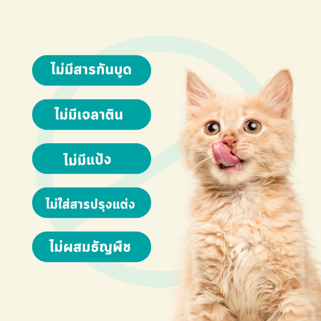 (แพ็ค 4 ซอง) Bite of Wild ขนมแมวเลีย ขนาดซอง 15 กรัม จำนวน 4 ซอง 60 กรัม