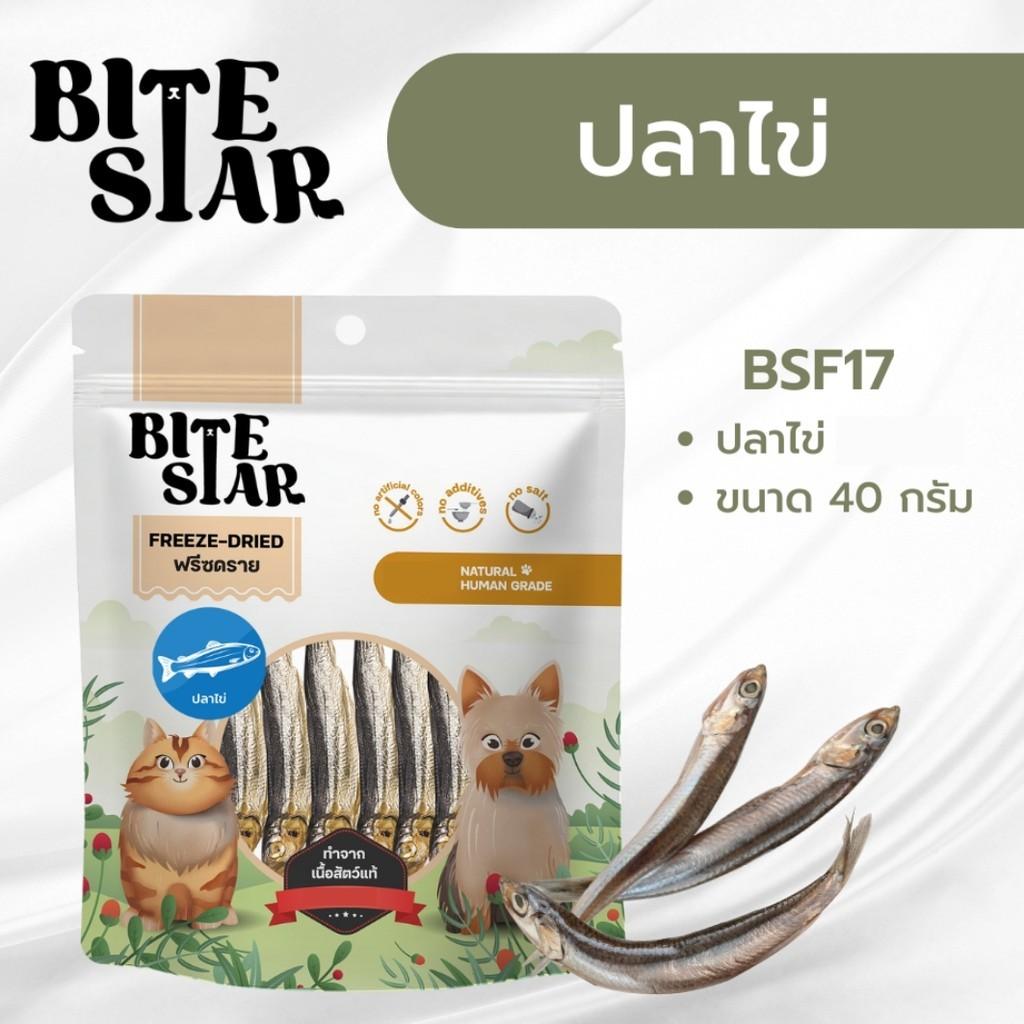 Bite Star Freeze Dried ขนมฟรีซดรายสำหรับสัตว์เลี้ยง ฟรีสดรายแมว ฟรีสดรายสุนัข ขนาดซอง 40-60 กรัม
