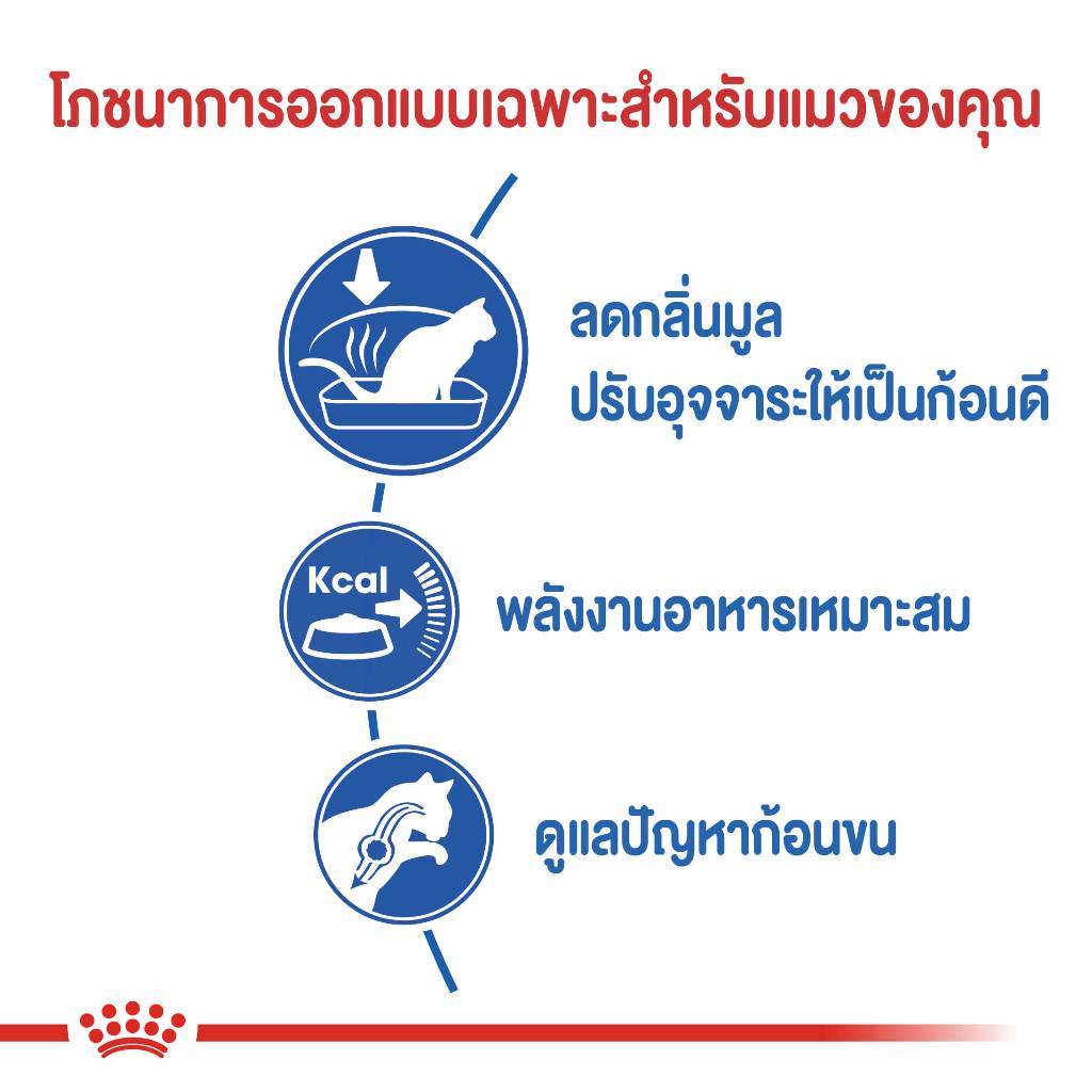 Royal Canin INDOOR 400g.