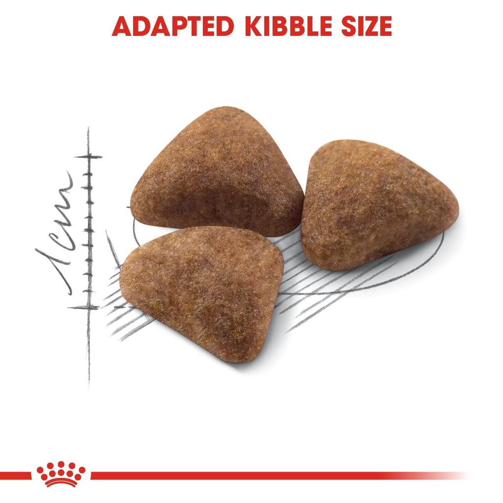 Royal Canin INDOOR 400g.