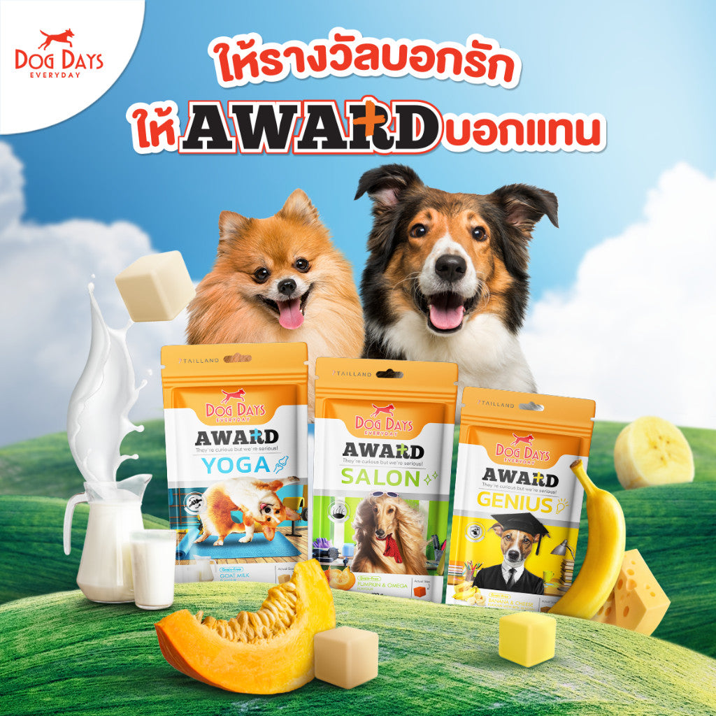 Dog Days Award ขนมทานเล่น ขนมสุนัข ฝึกสุนัข รูปทรงลูกเต๋า ขนาด 100-120 กรัม