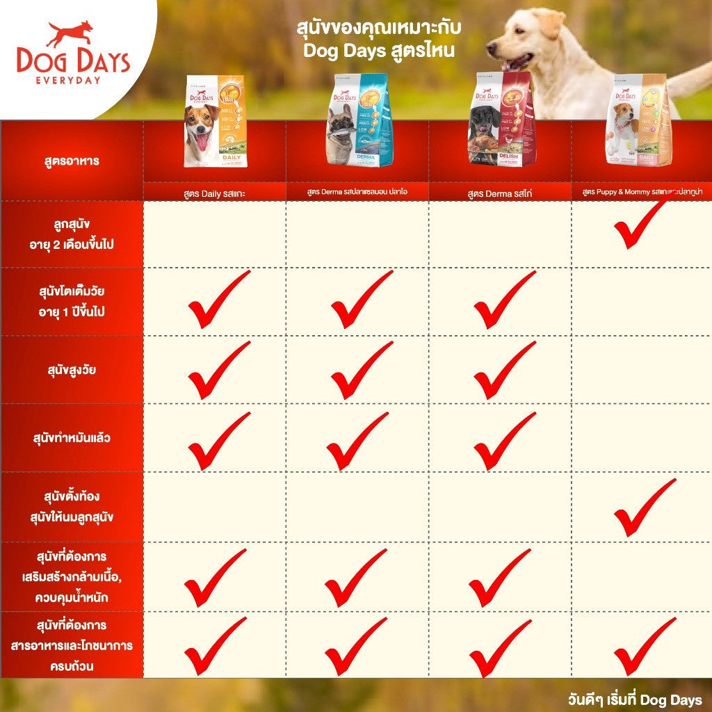 Dog Days Super Premium&Holistic อาหารสุนัขเกรดซุปเปอร์พรีเมี่ยม กลูเตนฟรี สำหรับสุนัขโตทุกสายพันธุ์ ขนาด 1.5-3 kg