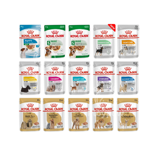 [ยกกล่อง 12 ซอง] Royal Canin อาหารเปียกสุนัข สูตรเฉพาะสำหรับสุนัข ขนาด 85 กรัม