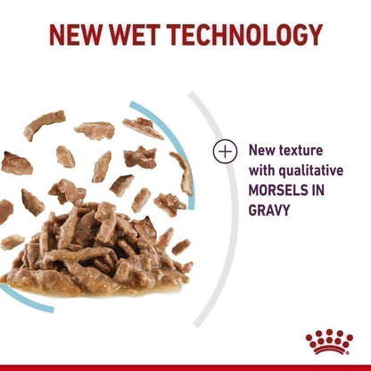 [ยกกล่อง 12 ซอง] Royal Canin Sensory Feel Pouch อาหารเปียกแมวโต กินอาหารยาก เลือกกิน เนื้อสัมผัสพิเศษ อายุ 12 เดือนขึ้นไป (Wet Cat Food, โรยัล คานิน) โรยัล