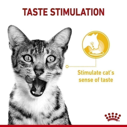 [ยกกล่อง 12 ซอง] Royal Canin Sensory Taste Pouch อาหารเปียกแมวโต กินอาหารยาก เลือกกิน รสชาติพิเศษ อายุ 12 เดือนขึ้นไป (Wet Cat Food, โรยัล คานิน) โรยัล