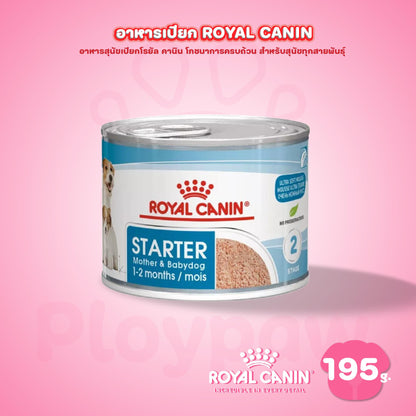 [1 กระป๋อง] Royal Canin Starter Mousse อาหารเปียกแม่สุนัข ตั้งท้อง 6 สัปดาห์ขึ้นไป - ให้นม และ ลูกสุนัขหย่านม อายุ 1-2 เดือน (เนื้อมูส, Canned Dog Food, โรยัล คานิน) โรยัล