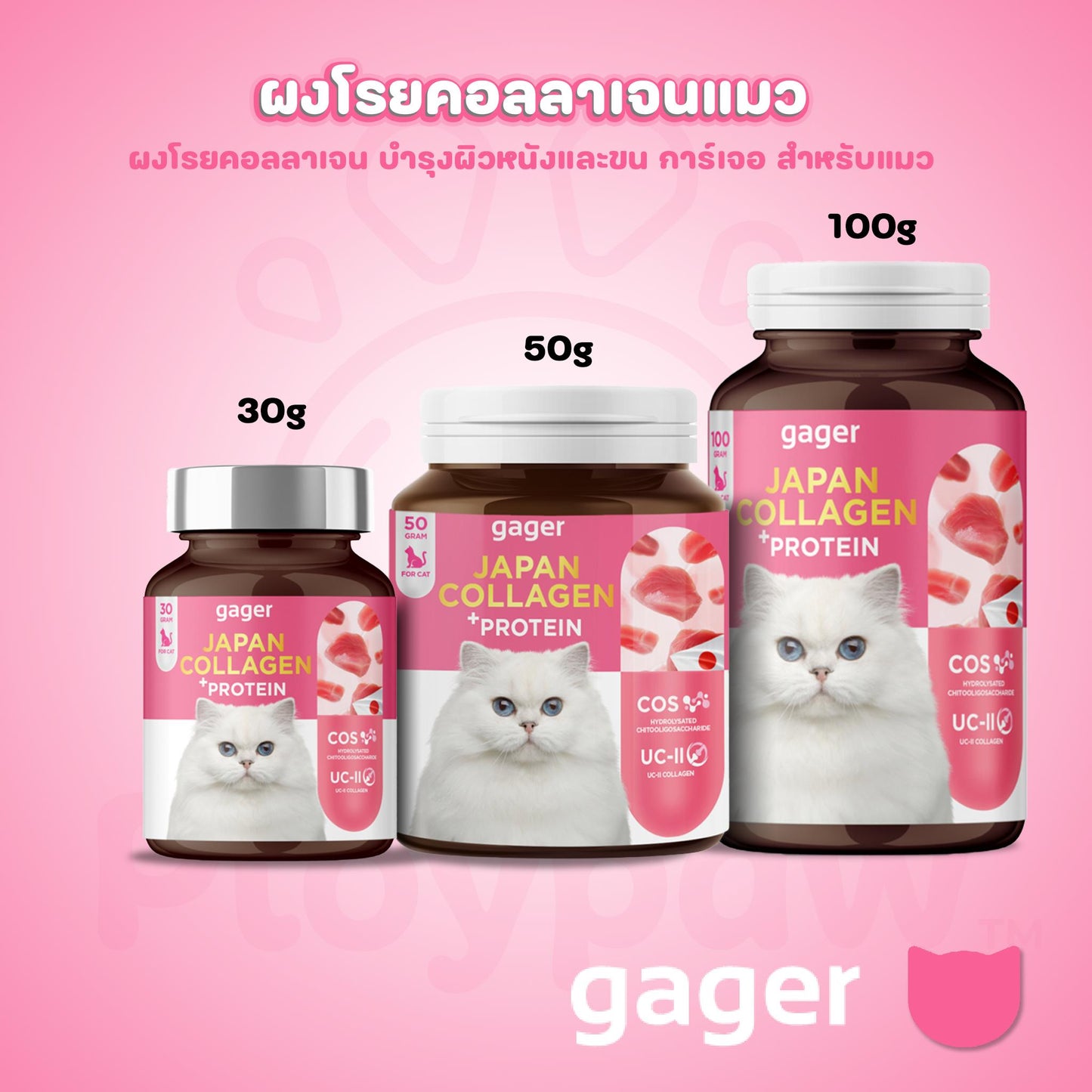 Gager กาเจอร์ ผงคอลลาเจนแมว ผผงคอลลาเจน+โปรตีน มีพรีไบโอติค สำหรับแมว