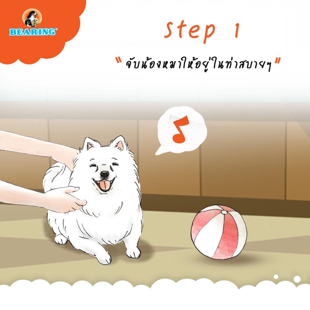 [250ml.] BEARING Tick & Flea Dog สเปรย์เห็บหมัด สำหรับสุนัข เห็นผลรวดเร็ว 250 มล.(ml.)