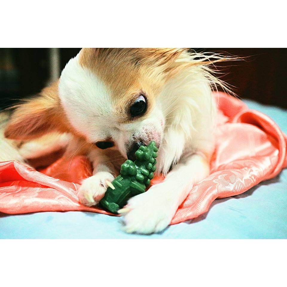 [1 ชิ้น] CROCGY ขนมขัดฟัน สุนัข รูปจระเข้ ครอกกี้  ขนาด 18 กรัม มี 4 รส