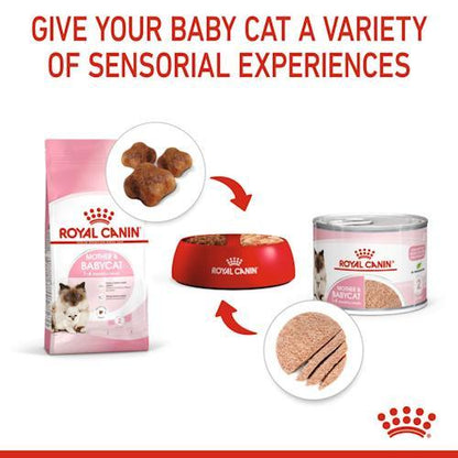 [1 กระป๋อง] Royal Canin Starter Mother & Baby Cat Can Tray อาหารเปียกแม่แมวตั้งท้อง-ให้นม และ ลูกแมว อายุต่ำกว่า 4 เดือน (เนื้อมูส, Canned Cat Food, โรยัล คานิน)