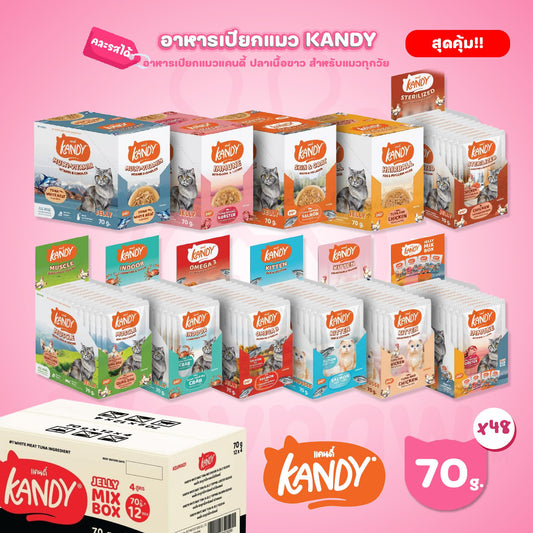 [ยกลัง 48 ซอง] Kandy Pouch อาหารเปียกแมว แคนดี้ ผลิตจากปลาเนื้อขาว ขนาดซอง 70 กรัม(g.)