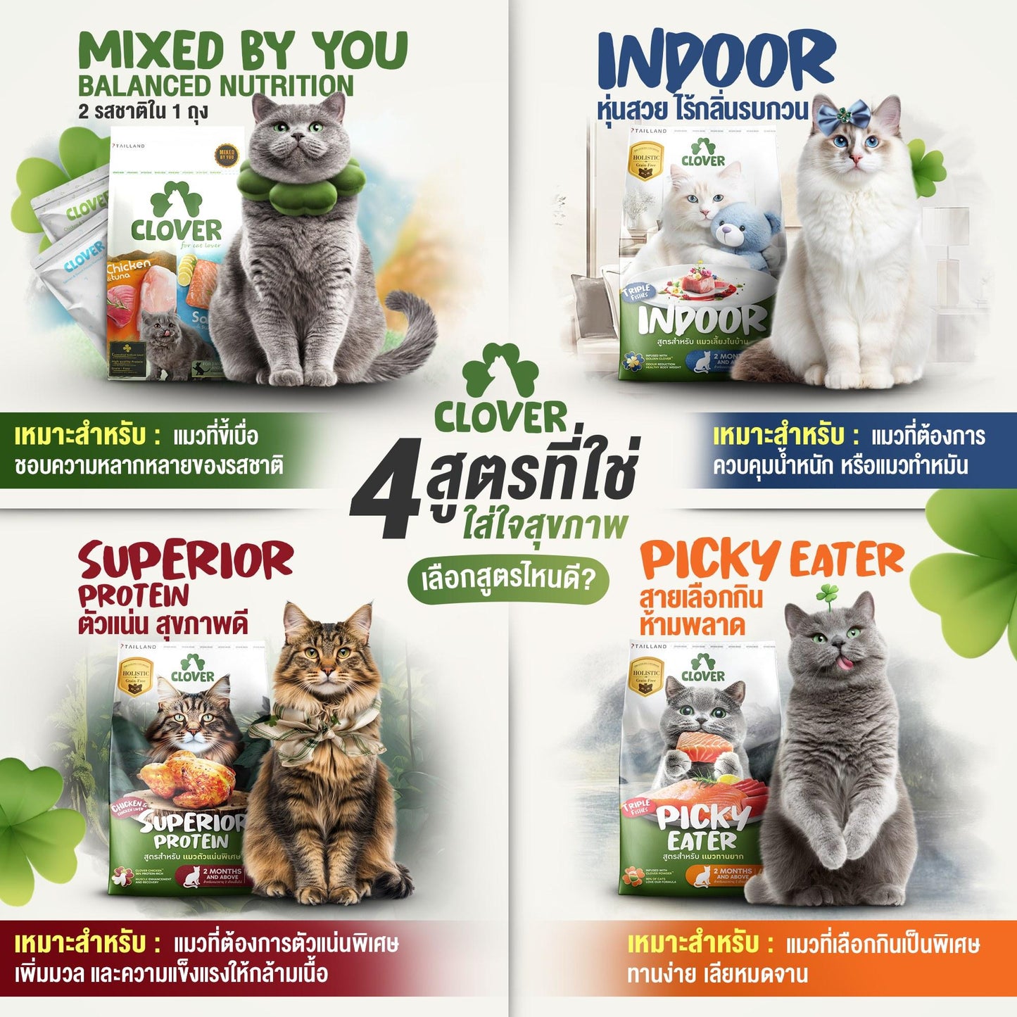 [L] Clover Ultra Holistic อาหารแมวโคลเวอร์ โฮลิสติก เกรนฟรี ขนาด 4.2-5 กก.