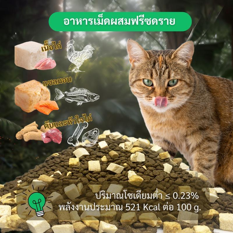 [300g.] Bite of Wild อาหารแมว Holistic 1Kg Grain Free โปรตีน 42% อาหารเม็ดผสมฟรีซดราย 3 ชนิด ได้แก่ เนื้อไก่ ปลาแซลมอน ตับและหัวใจไก่ เหมาะสำหรับทุกช่วงวัย LSP