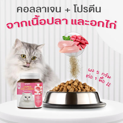 Gager กาเจอร์ ผงคอลลาเจนแมว ผผงคอลลาเจน+โปรตีน มีพรีไบโอติค สำหรับแมว