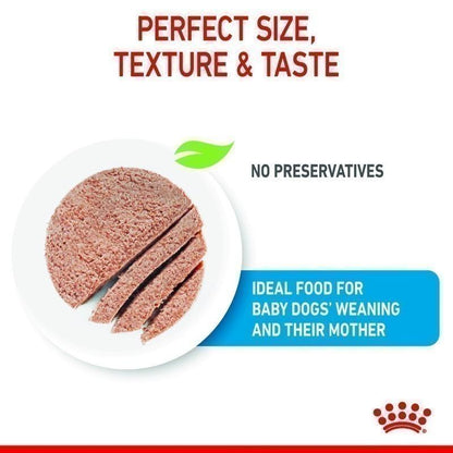 [ยกถาด 12 กระป๋อง] Royal Canin Starter Mousse อาหารเปียกแม่สุนัข ตั้งท้อง 6 สัปดาห์ขึ้นไป - ให้นม และ ลูกสุนัขหย่านม อายุ 1-2 เดือน (เนื้อมูส, Canned Dog Food, โรยัล คานิน) โรยัล