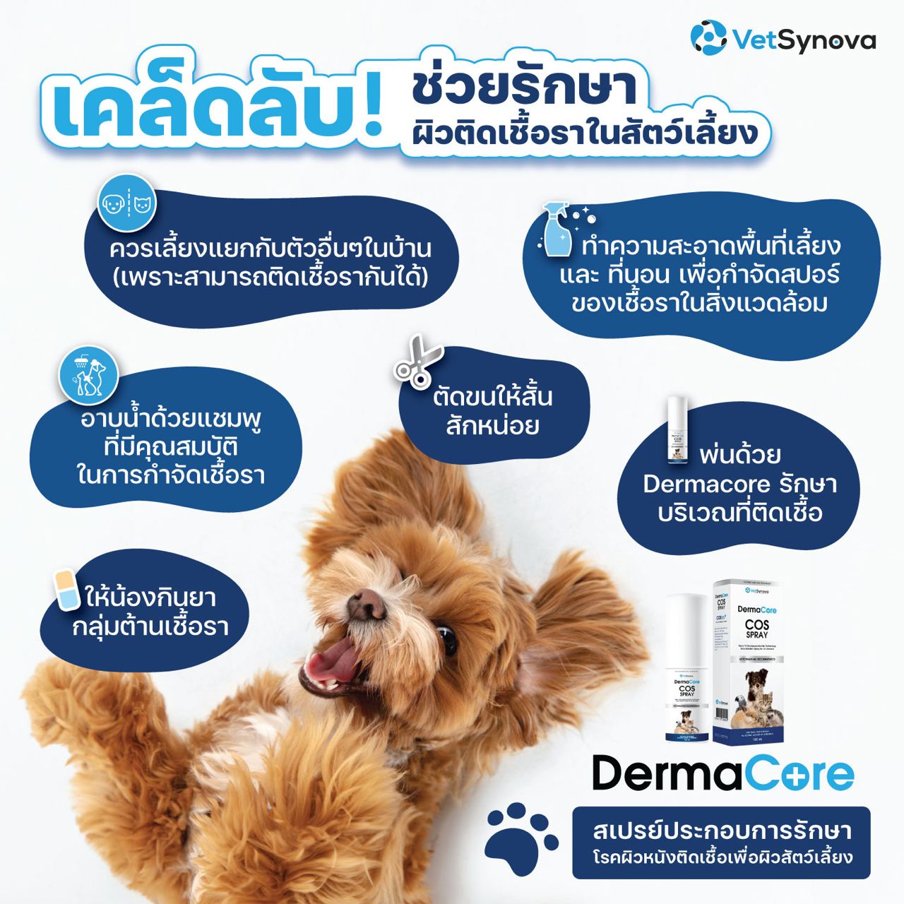 Dermacore COS Spray สเปรย์ประกอบรักษาโรคผิวหนังติดเชื้อ สำหรับสัตว์เลี้ยงทุกชนิด