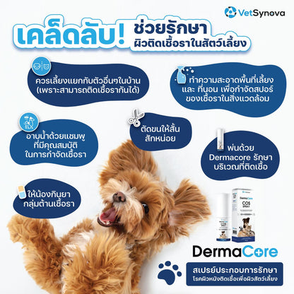 Dermacore COS Spray สเปรย์ประกอบรักษาโรคผิวหนังติดเชื้อ สำหรับสัตว์เลี้ยงทุกชนิด