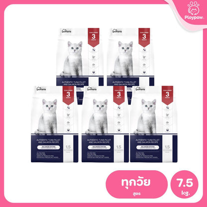 Petheria [ยกแพ็ค 5 ถุง*1.5kg] อาหารแมวเพ็ทเทอเรีย โปรตีนจากปลา บำรุงขนสวย ลูบไม่ติดมือ ขนาด 1.5 กก. 12 สูตร