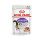[ปลีก 1 ซอง] ROYAL CANIN Pouch อาหารเปียก รอยัล คานิน  สำหรับแมวทุกช่วงวัย ขนาดซอง 85 กรัม(g.)
