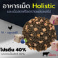 อาหารแมวเชียร์แชร์ Cheershare Holistic 6 กก. K-Lion ผสมฟรีซส์ดราย