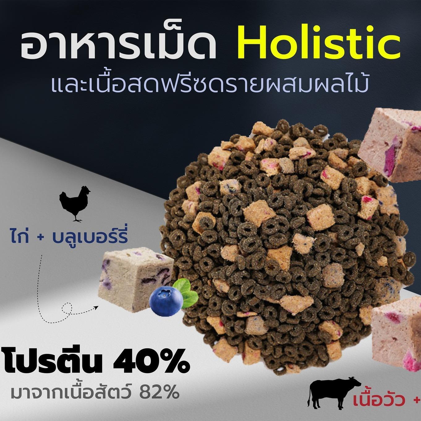 อาหารแมวเชียร์แชร์ Cheershare Holistic 6 กก. K-Lion ผสมฟรีซส์ดราย