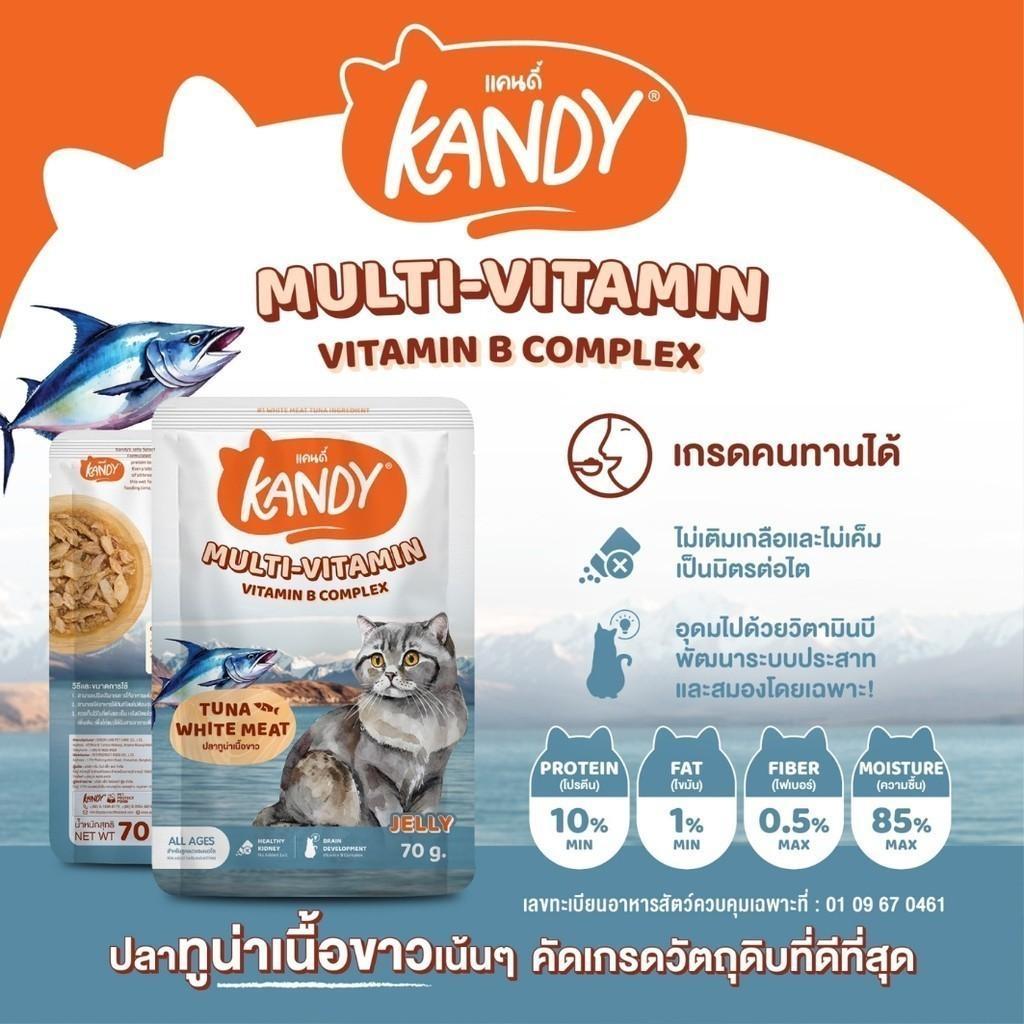 [ยกลัง 48 ซอง] Kandy Pouch อาหารเปียกแมว แคนดี้ ผลิตจากปลาเนื้อขาว ขนาดซอง 70 กรัม(g.)