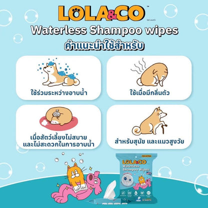 [แพ็ค 28 แผ่น] Lola&Co Waterless shampoo wipes ทิชชูเปียก ผ้าเปียกผสมแชมพู 28แผ่น/แพ็ค