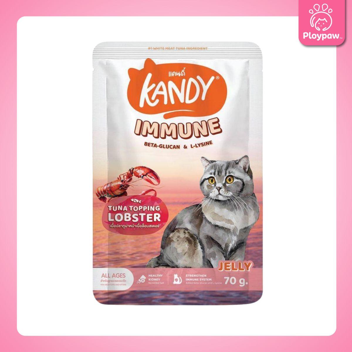 [ปลีก 1 ซอง] Kandy Pouch อาหารเปียกแมว แคนดี้ ผลิตจากปลาเนื้อขาว ขนาดซอง 70 กรัม(g.)