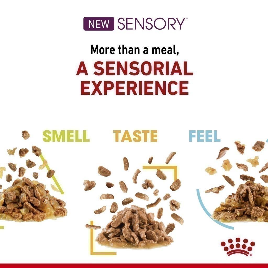 [ยกกล่อง 12 ซอง] Royal Canin Sensory Taste Pouch อาหารเปียกแมวโต กินอาหารยาก เลือกกิน รสชาติพิเศษ อายุ 12 เดือนขึ้นไป (Wet Cat Food, โรยัล คานิน) โรยัล