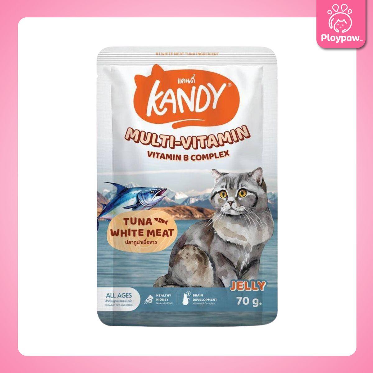 [ปลีก 1 ซอง] Kandy Pouch อาหารเปียกแมว แคนดี้ ผลิตจากปลาเนื้อขาว ขนาดซอง 70 กรัม(g.)