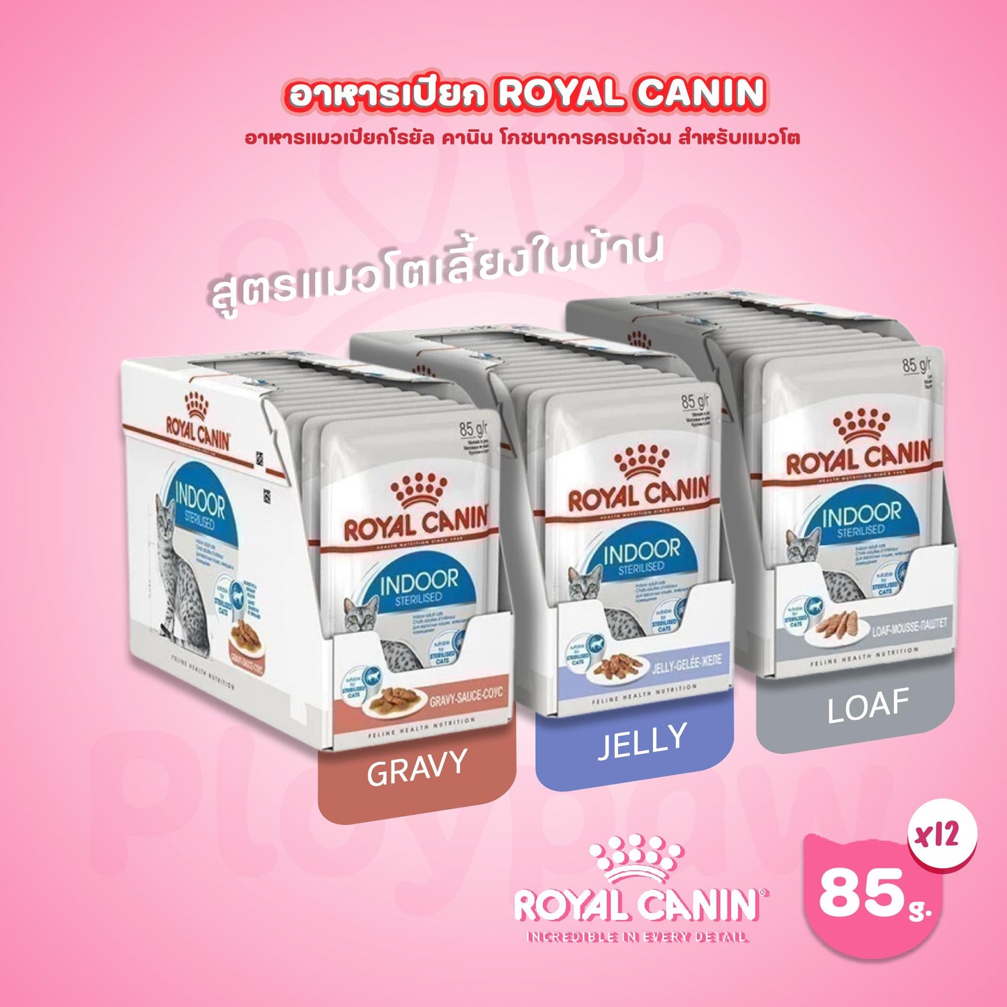 [ยกกล่อง 12 ซอง] Royal Canin Indoor Pouch Jelly อาหารเปียกแมวโต เลี้ยงในบ้านและทำหมัน อายุ 1 ปีขึ้นไป (เจลลี่, Wet Cat Food, โรยัล คานิน)