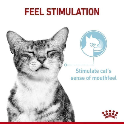 [ยกกล่อง 12 ซอง] Royal Canin Sensory Feel Pouch อาหารเปียกแมวโต กินอาหารยาก เลือกกิน เนื้อสัมผัสพิเศษ อายุ 12 เดือนขึ้นไป (Wet Cat Food, โรยัล คานิน) โรยัล