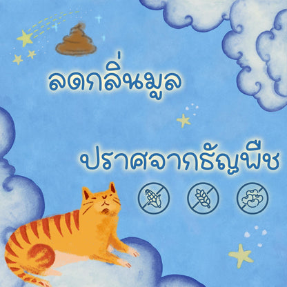 Buzz [ยกลัง 12 ถุง*1 กก.] Netura Holistic อาหารแมวบัซซ์ ขนาด 1 กก.(kg.) จำนวน 12 ถุง อาหารแมวโฮลิสติก เกรนฟรี อาหาร  แมว