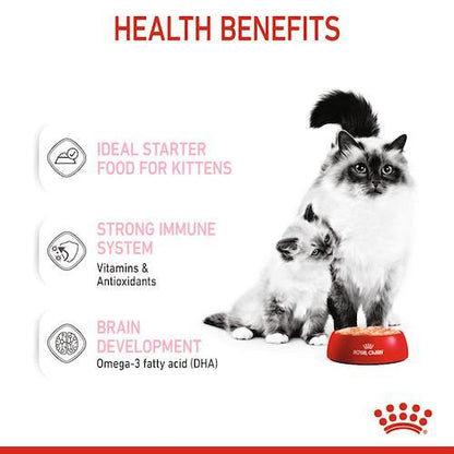 [1 กระป๋อง] Royal Canin Starter Mother & Baby Cat Can Tray อาหารเปียกแม่แมวตั้งท้อง-ให้นม และ ลูกแมว อายุต่ำกว่า 4 เดือน (เนื้อมูส, Canned Cat Food, โรยัล คานิน)
