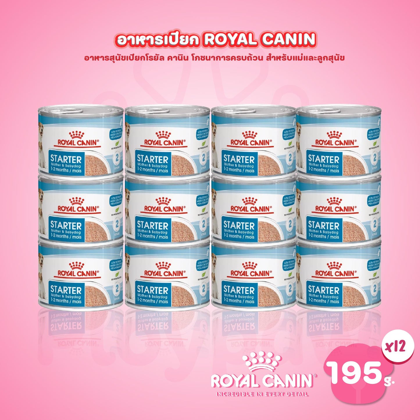 [ยกถาด 12 กระป๋อง] Royal Canin Starter Mousse อาหารเปียกแม่สุนัข ตั้งท้อง 6 สัปดาห์ขึ้นไป - ให้นม และ ลูกสุนัขหย่านม อายุ 1-2 เดือน (เนื้อมูส, Canned Dog Food, โรยัล คานิน) โรยัล