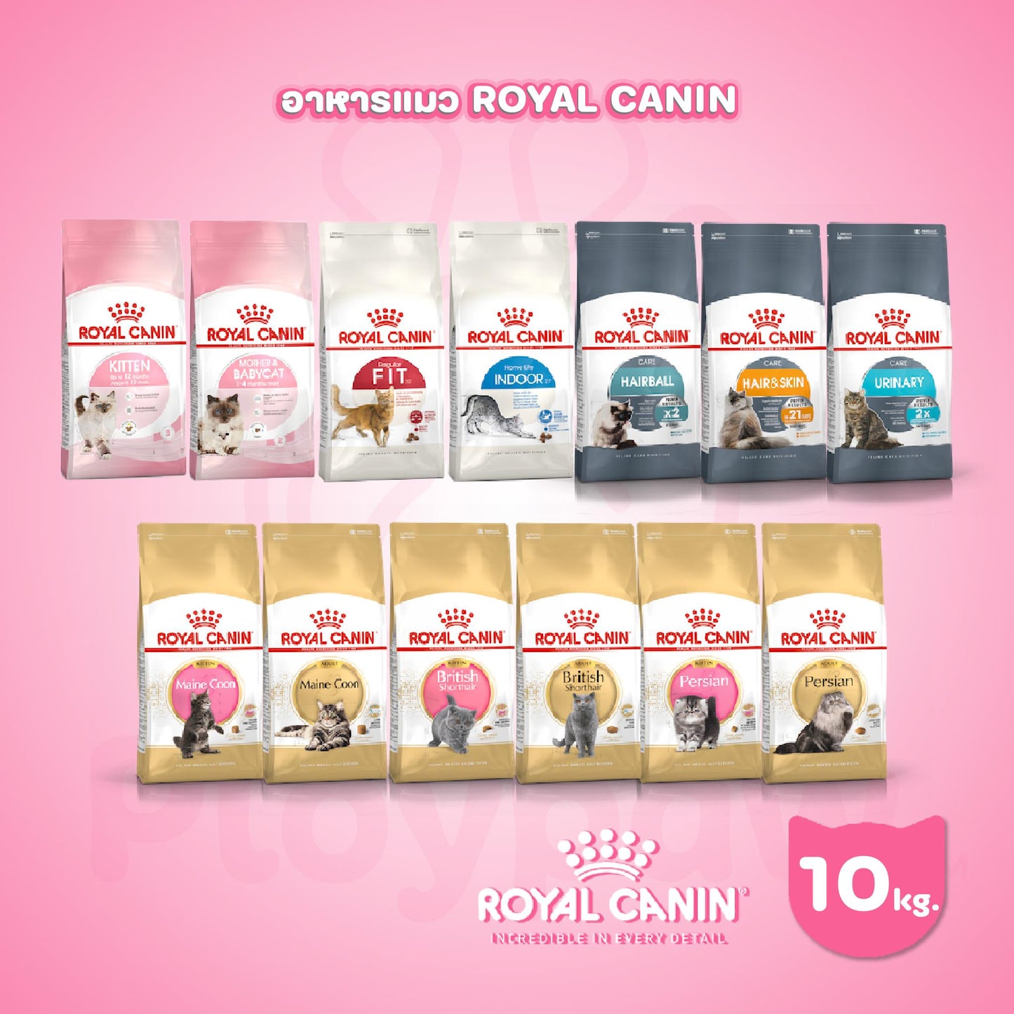 [ยกกระสอบ 10kg.] Royal Canin อาหารแมว รอยัลคานิน  สำหรับแมวทุกช่วงวัย ขนาดกระสอบ 10 กก.