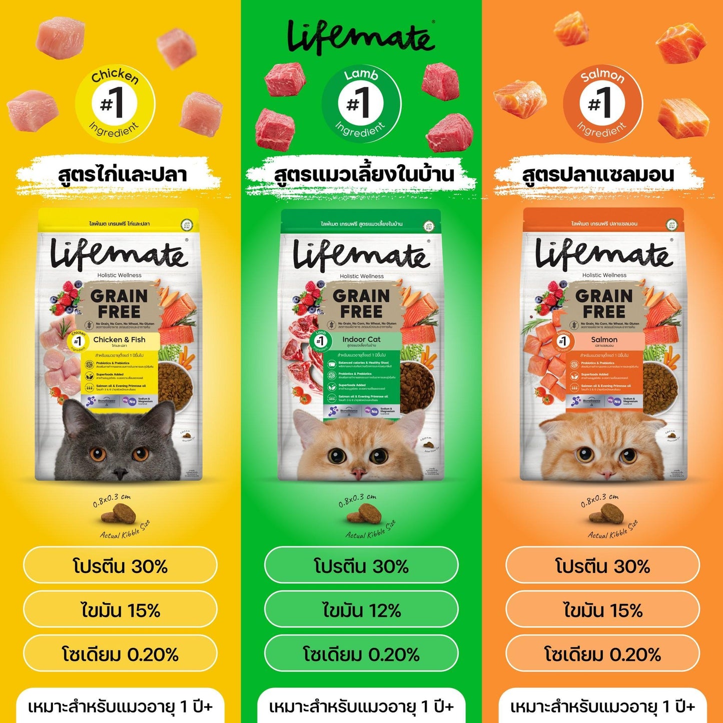 Lifemate Grainfree Holistic wellness อาหารแมวไลฟ์เมท ปราศจากธัญพืช ขนาด 2.6-2.8 กก.