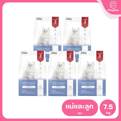 Petheria [ยกแพ็ค 5 ถุง*1.5kg] อาหารแมวเพ็ทเทอเรีย โปรตีนจากปลา บำรุงขนสวย ลูบไม่ติดมือ ขนาด 1.5 กก. 12 สูตร