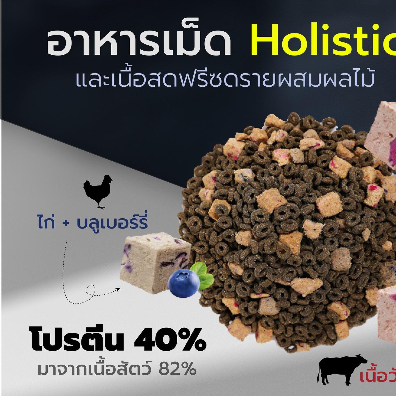 อาหารแมวเชียร์แชร์ Cheershare Holistic 3 กก. K-Lion ผสมฟรีซส์ดราย (ถุงแบ่งจาก 6 กก.)