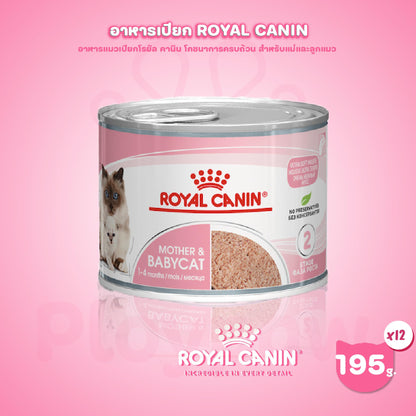 [1 กระป๋อง] Royal Canin Starter Mother & Baby Cat Can Tray อาหารเปียกแม่แมวตั้งท้อง-ให้นม และ ลูกแมว อายุต่ำกว่า 4 เดือน (เนื้อมูส, Canned Cat Food, โรยัล คานิน)
