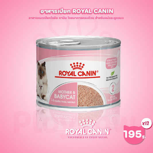 [1 กระป๋อง] Royal Canin Starter Mother & Baby Cat Can Tray อาหารเปียกแม่แมวตั้งท้อง-ให้นม และ ลูกแมว อายุต่ำกว่า 4 เดือน (เนื้อมูส, Canned Cat Food, โรยัล คานิน)