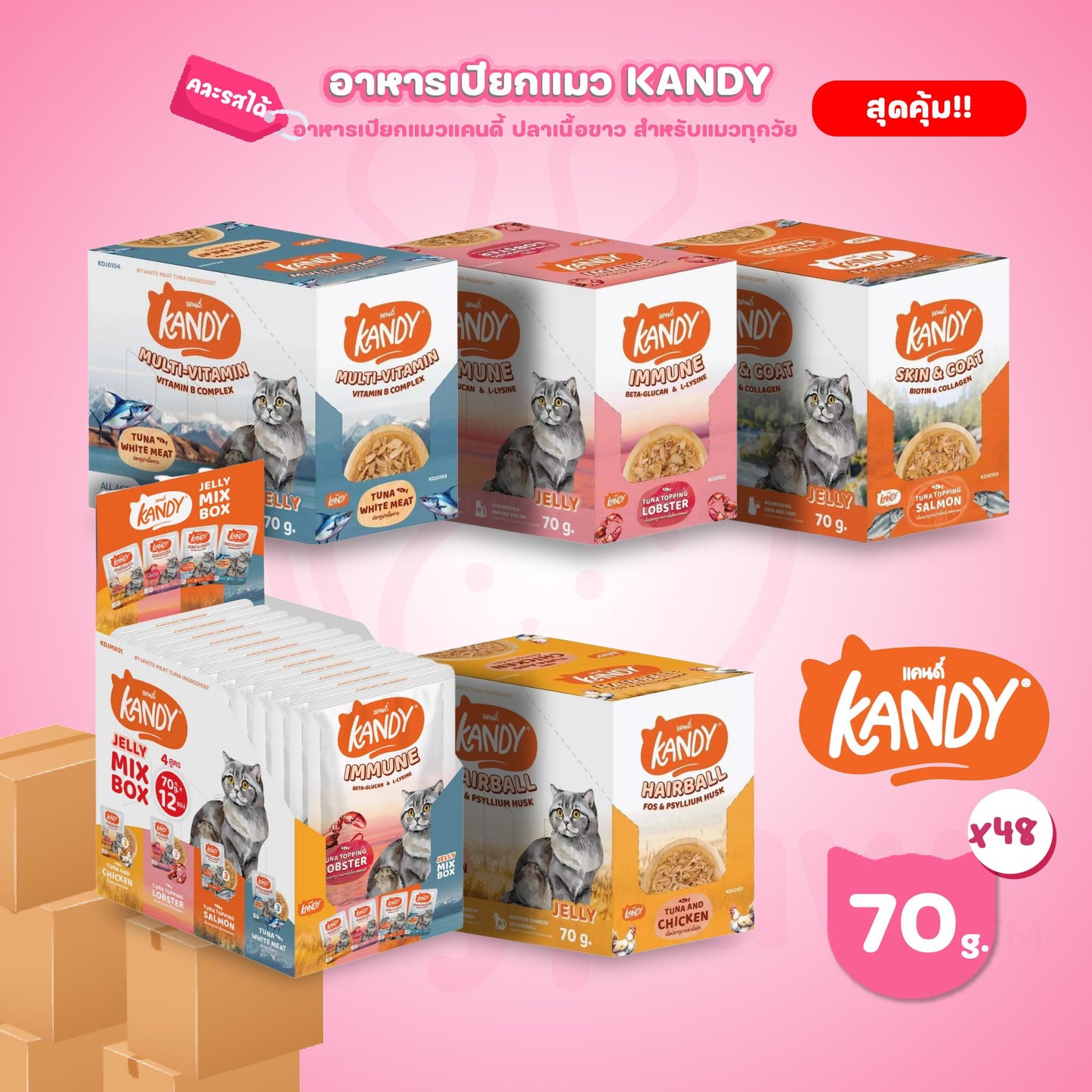 [ยกลัง 48 ซอง] Kandy Pouch อาหารเปียกแมว แคนดี้ ผลิตจากปลาเนื้อขาว ขนาดซอง 70 กรัม(g.)