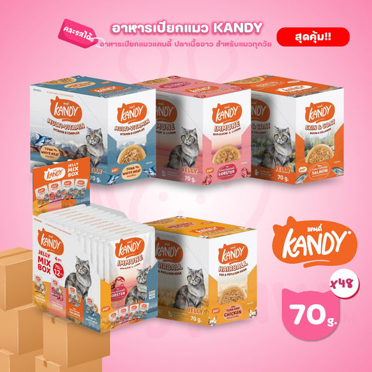 [ยกลัง 48 ซอง] Kandy Pouch อาหารเปียกแมว แคนดี้ ผลิตจากปลาเนื้อขาว ขนาดซอง 70 กรัม(g.)