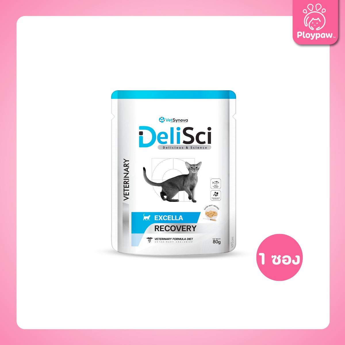 [ปลีก 1 ซอง] DeliSci Excella อาหารฟื้นฟูสําหรับสัตว์ป่วย ขาดสารอาหาร และพักฟื้นหลังการผ่าตัด ที่ต้องการพลังงานสูง (RECOVERY) ขนาด 80 กรัม(g.)