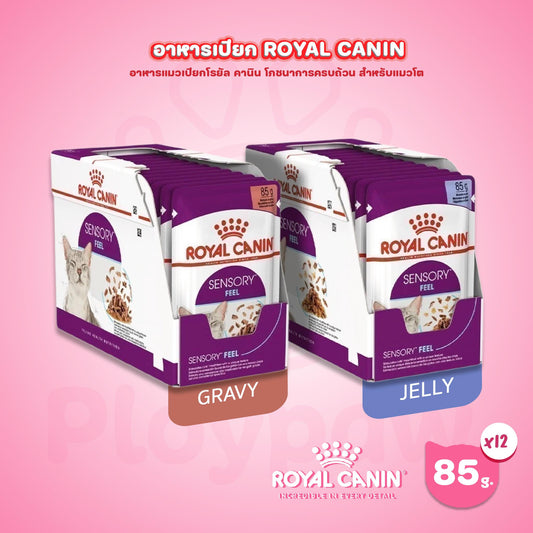 [ยกกล่อง 12 ซอง] Royal Canin Sensory Feel Pouch อาหารเปียกแมวโต กินอาหารยาก เลือกกิน เนื้อสัมผัสพิเศษ อายุ 12 เดือนขึ้นไป (Wet Cat Food, โรยัล คานิน) โรยัล