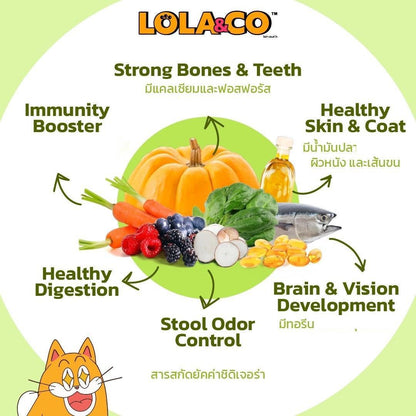 [ยกลัง 8 ถุง] LOLA&CO อาหารแมว โลล่า แอนด์ โค อาหารเม็ดแมว ไม่มีผลพลอยได้ มีโพรไบโอติก สำหรับแมวโตอายุ 1 ปีขึ้นไป ขนาดถุง 1 กก.(kg.) จำนวน 8 ถุง
